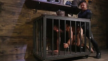 Rough Anal With The Caged Sex-slave