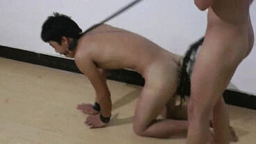Asian Boy Slaves Doggy Trainning